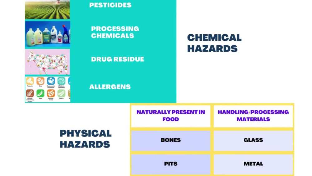a-food-safety-program-and-complete-haccp-plan-customized-to-your