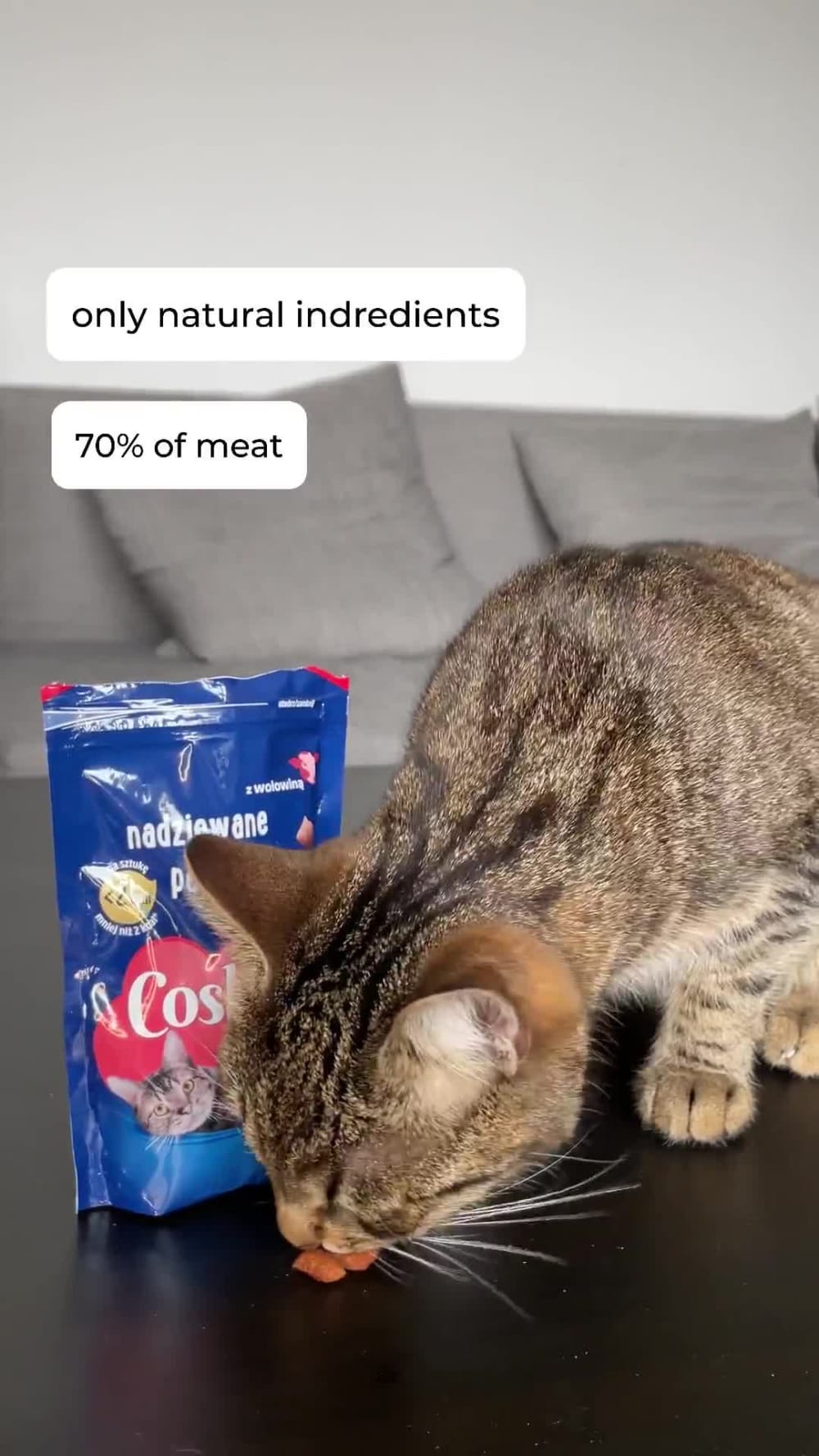 You will get eye-catching video ugc with cat