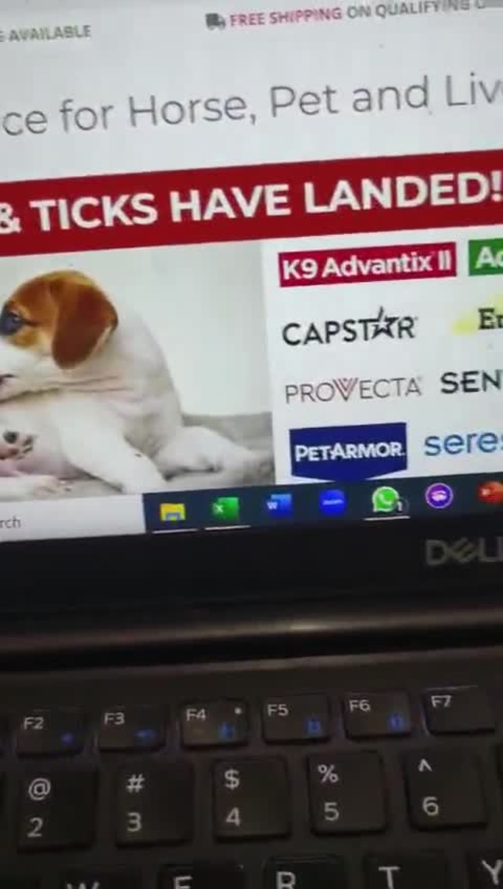 Play video