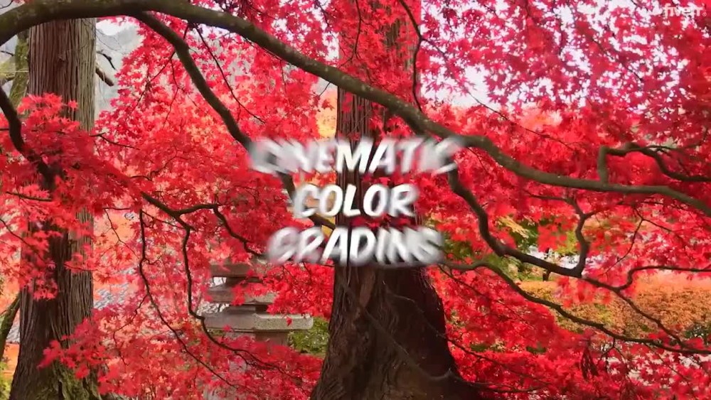 Play video