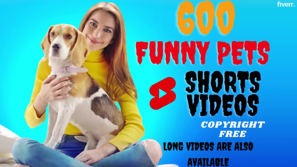 Funny animal videos 2019 short new arrivals
