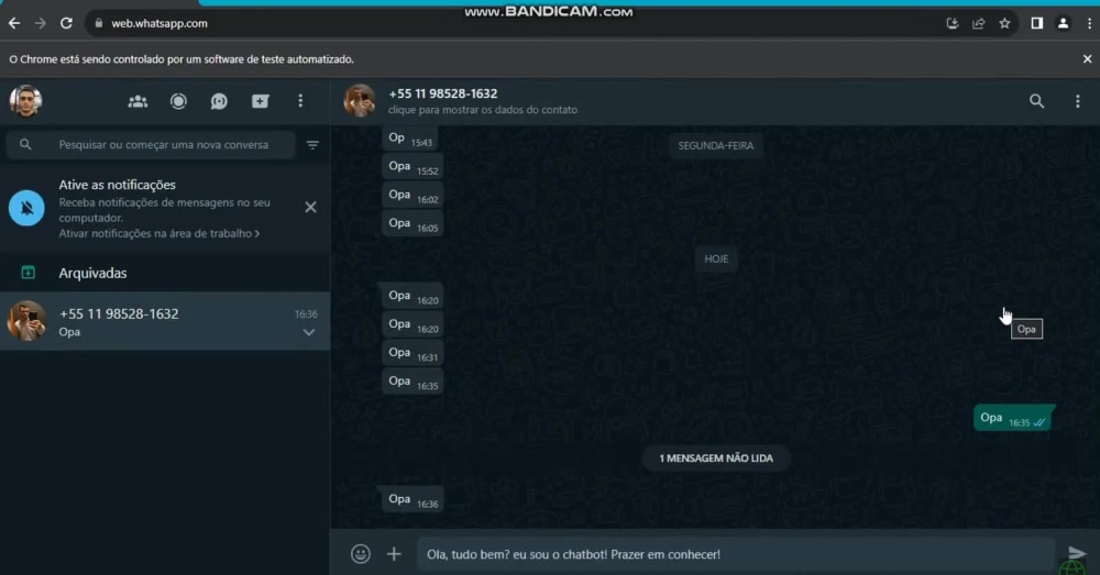 ChatBot Project for WhatsApp in Python | Upwork