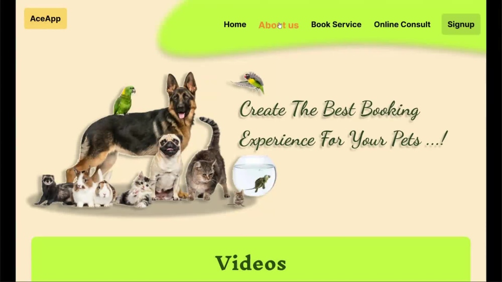 Play video