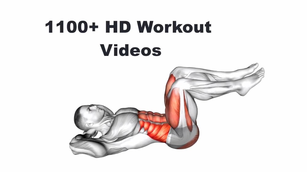 3D Fitness Animation Workout Videos, Gym Exercise Animation Upwork