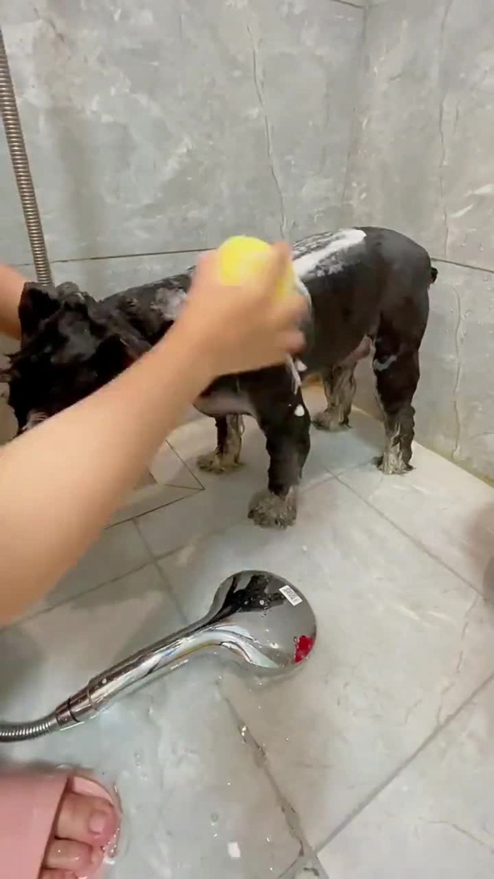 Play video