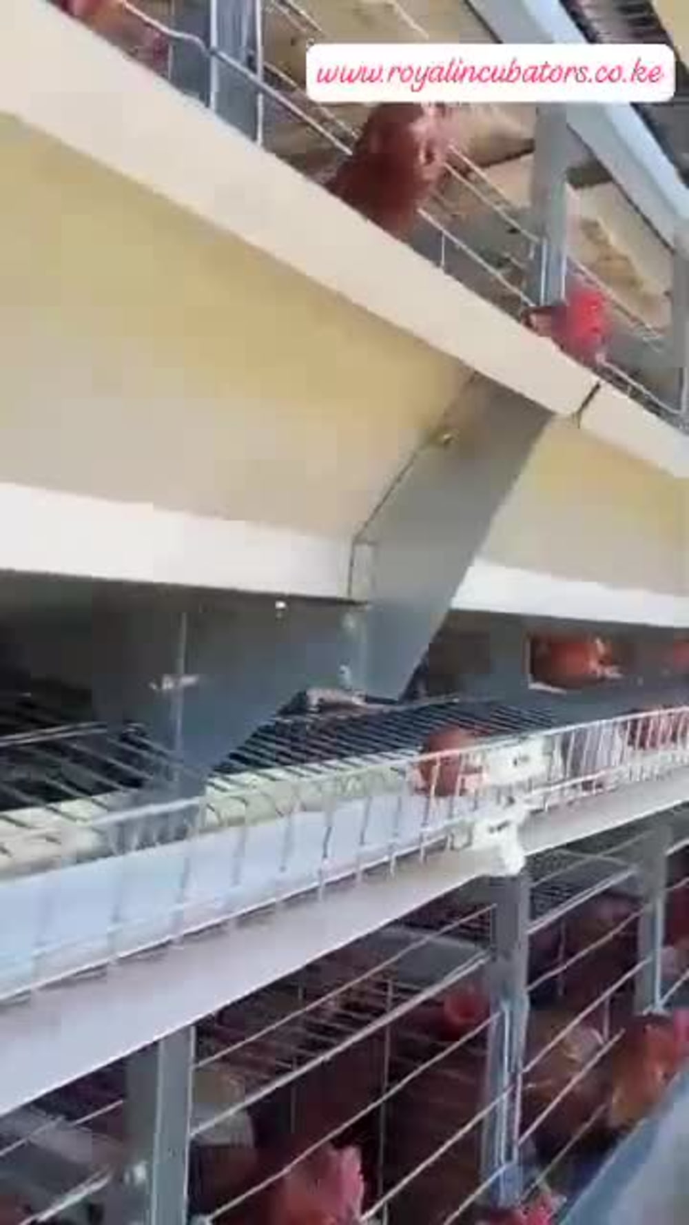 Play video