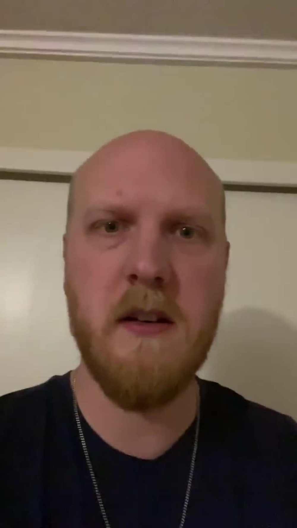 Professional mascott logo, banner and panel for twitch, and gaming