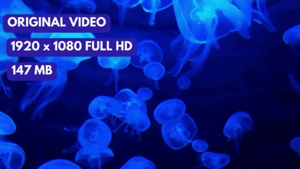 Play video