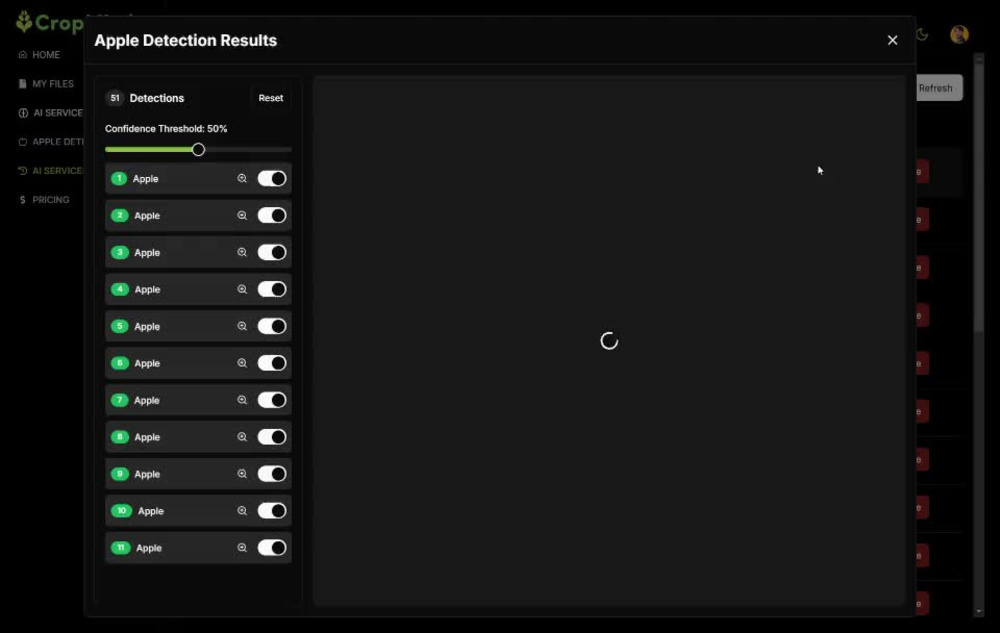 Play video