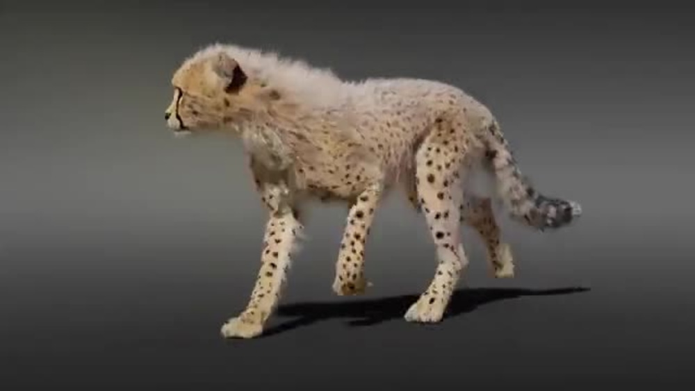 Play video