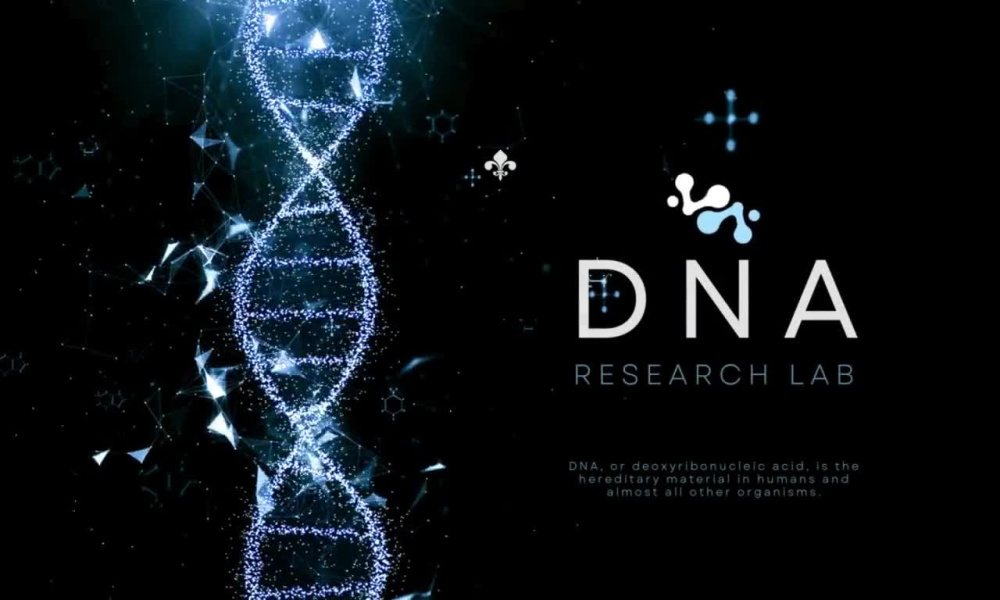 Seo optimized science/tech article, blog post,or science/technology ...