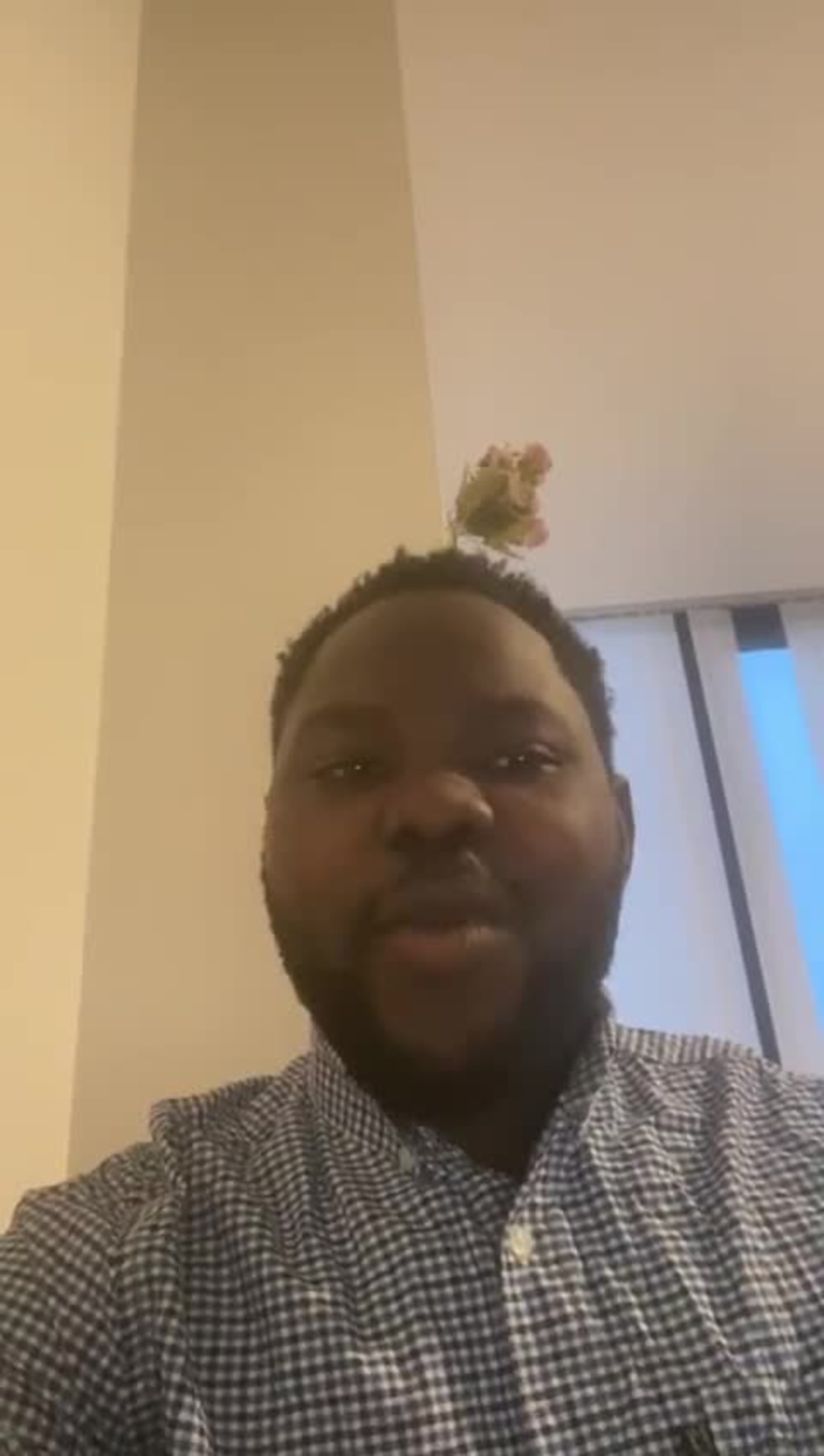 Play video