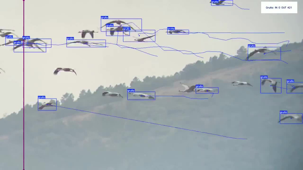 Play video