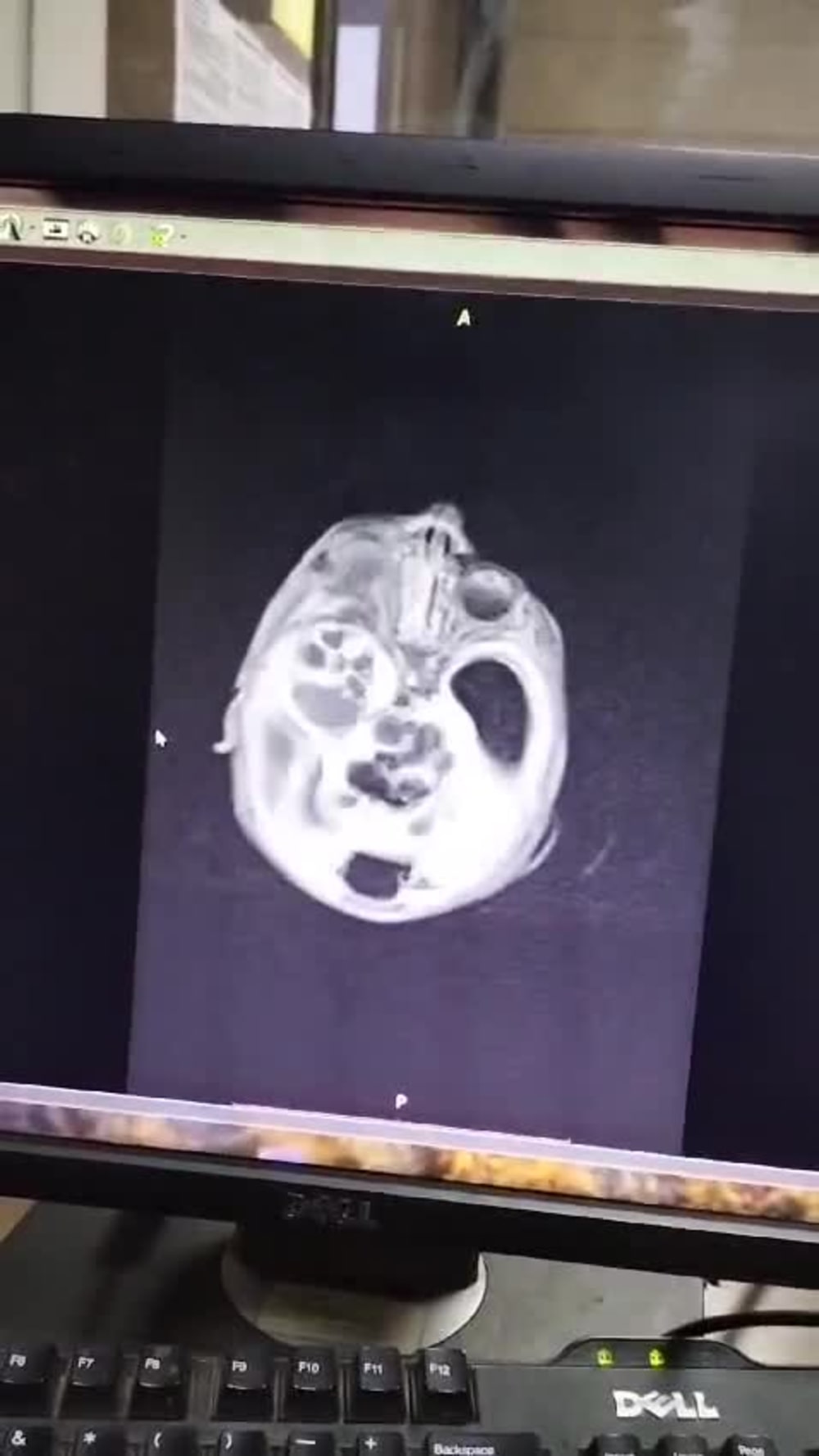 Play video