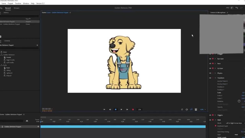 Play video