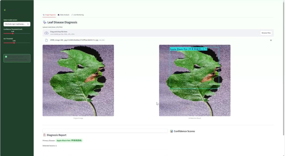 Play video