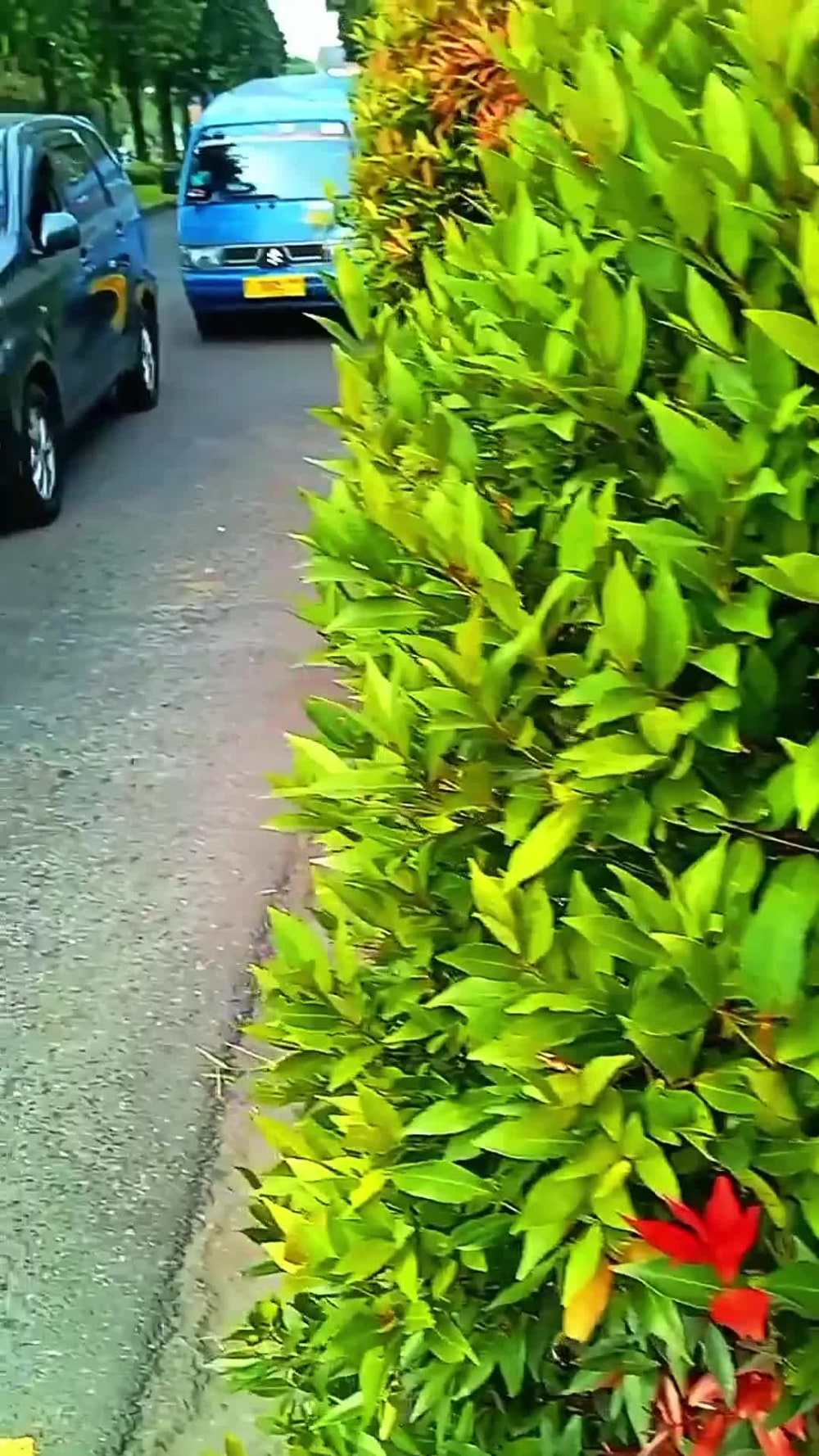 Play video