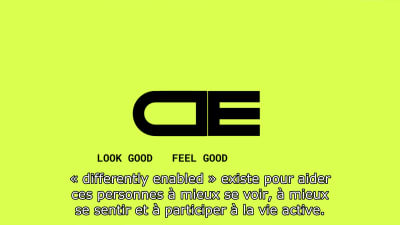 Perfect attractive translation of  document websites to French and Italian