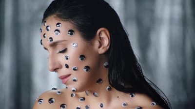 A perfectly edited  music video or any other video that you need