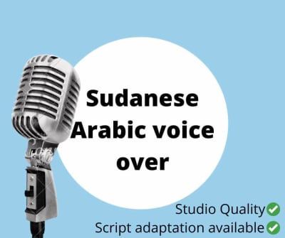 Studio quality Sudanese Arabic voice over and translation (Sudan)