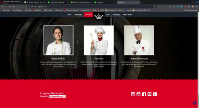 A responsive Website Design and development | PYTHON, HTML, JS, CSS ...