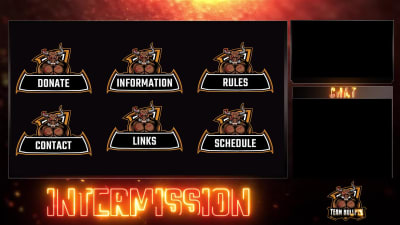 An amazing custom animated twitch overlays & animated logo