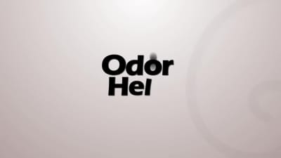 A custom 2d logo reveal animation