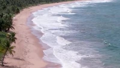 A recording of up to 150 words of voice-over in Brazilian Portuguese