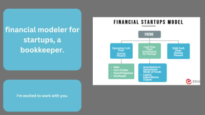 Professional financial modeler for startups, a bookkeeper.