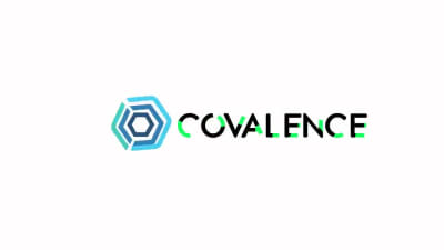 A custom logo animation and intro in 24 hours