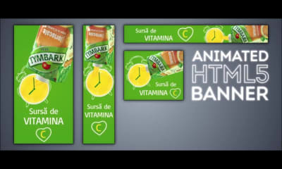 Animated HTML5 Banner Pack for Google Display Network Campaign (10
