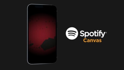 Spotify Canvas for your song