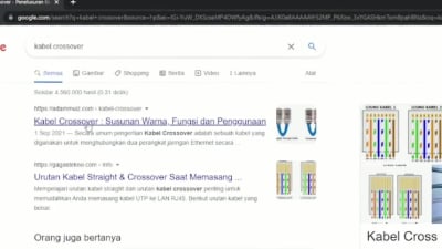 SEO Monster Indonesian Article