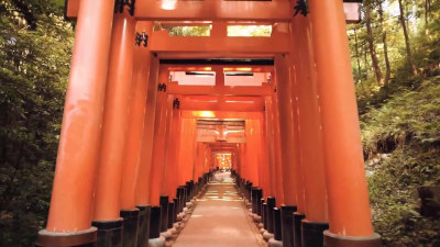 Professional Travel Video for Your YouTube Channel