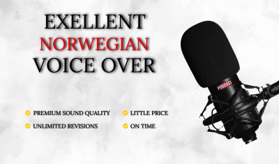 A professioanl norwegian voice over