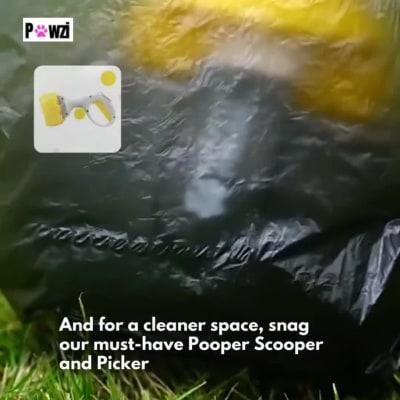 A Short Video Ad for Facebook, Instagram, Tiktok, Shopify Dropshipping item