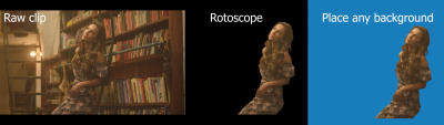 Expert quality Rotoscopy from any scene