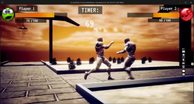 A 3D fighting Game