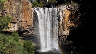 Relaxing Ambient Nature Music