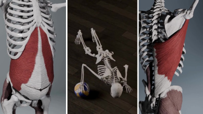 Realistic 3d medical animation 3d biomedical product anatomy animation