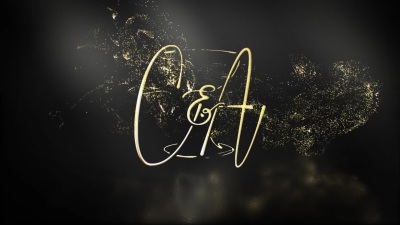 A professional logo animation