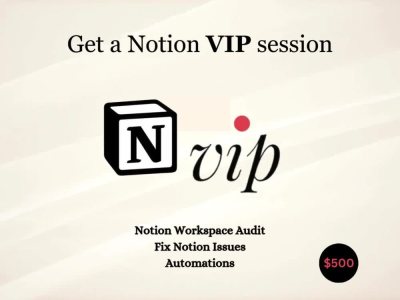 A Notion VIP day with me to AUDIT & STREAMLINE your Notion Workspace