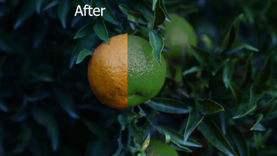 Professional video editing color grading and correction
