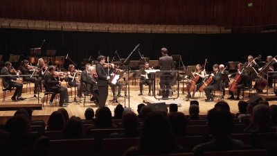 Professional violin recordings by orchestral musicians