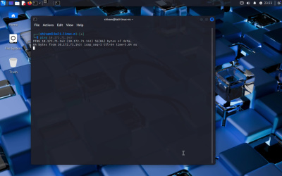 Network vulnerability assessment + report (small business)