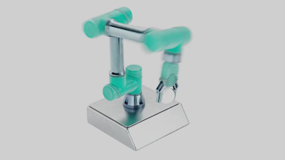 A Professional Rigged 3d Model