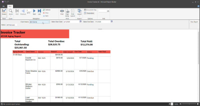 A custom SQL Server invoice aging report with live filters