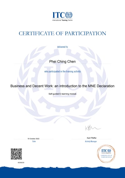 Business and Decent Work: an introduction to the MNE Declaration