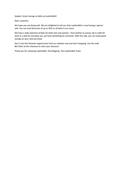 Email Marketing Campaign for Belt online shop