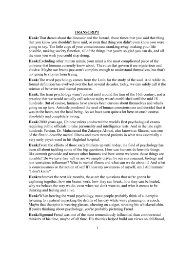 YouTube video transcript